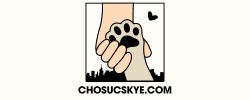 Chosucskye.com